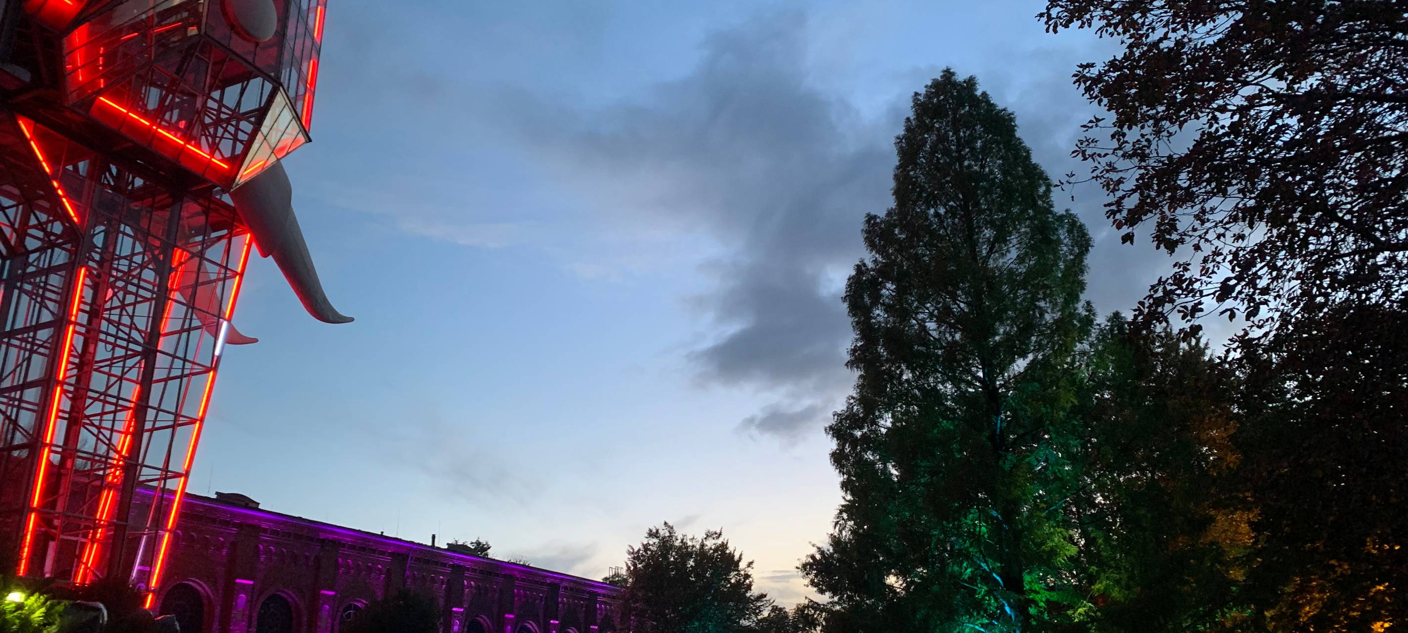 Der Glaselefant beim Herbstleuchten im Maxipark 2024.