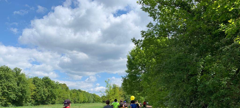 Anmelden für den 3. Maxilauf 2020