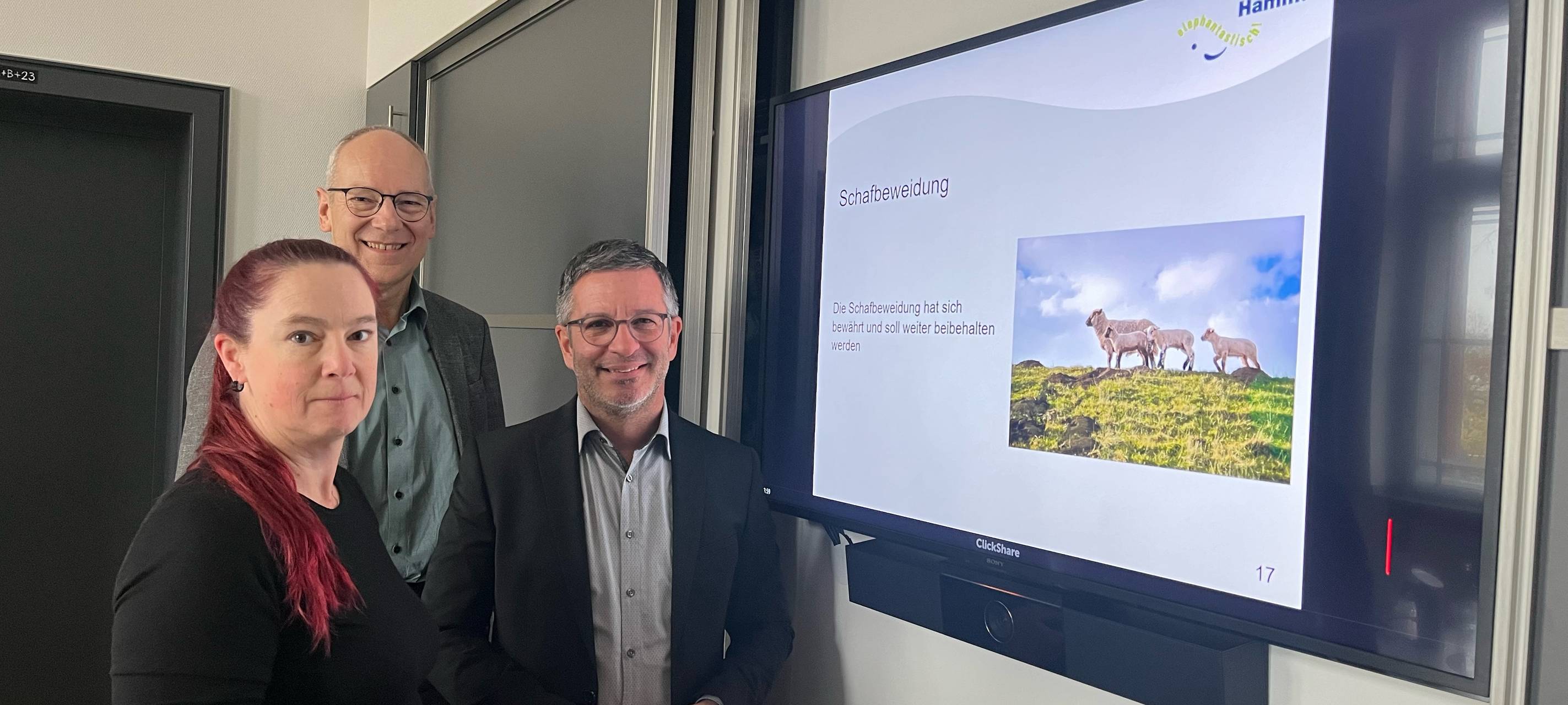Hochwasserschutz am Ahsedeich in Hamm: Neue Maßnahmen und Pläne
