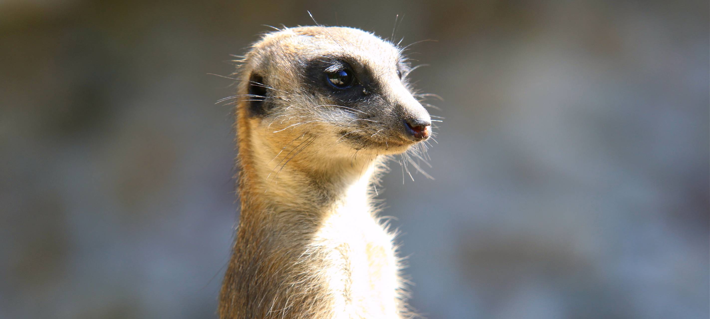 Ehrenamtskarte in Hamm beliebt