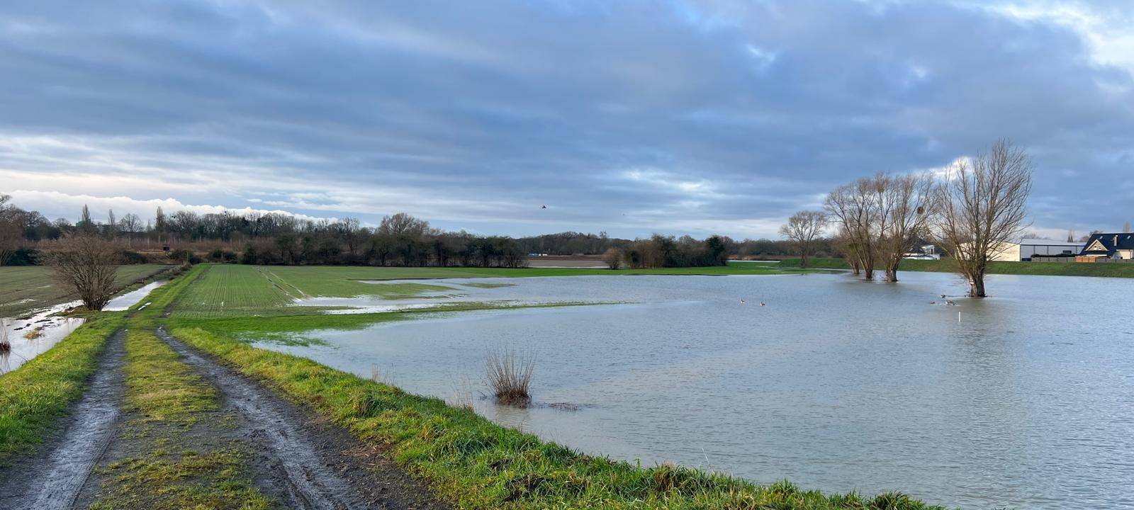 Wasser am Ahsedeich ist wieder gestiegen
