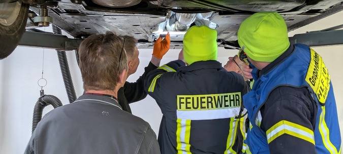 Kater reist im Motorraum von Hamm nach Olsberg