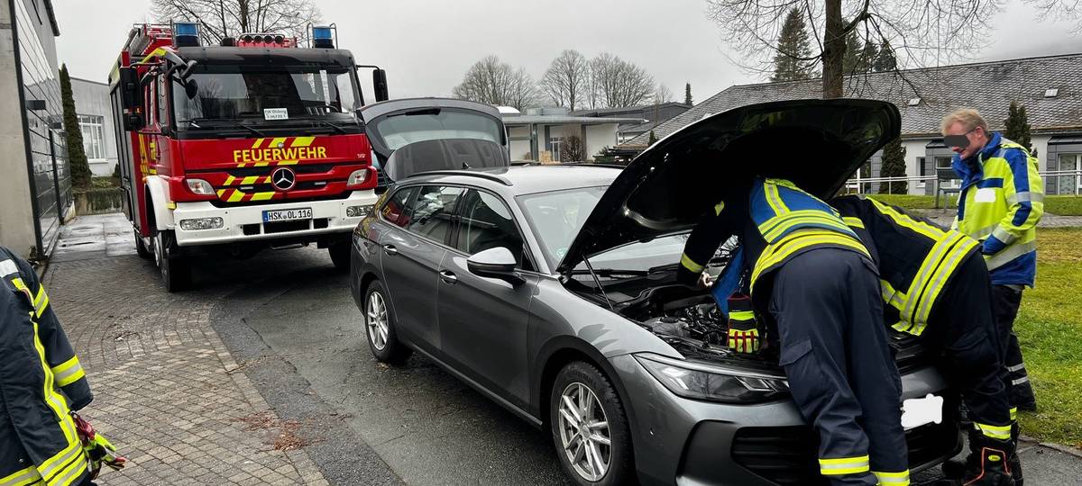 Kater reist im Motorraum von Hamm nach Olsberg