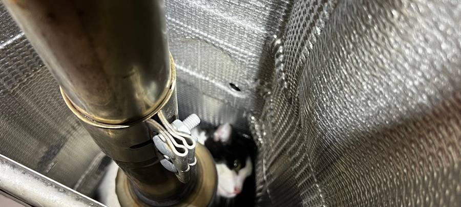 Kater reist im Motorraum von Hamm nach Olsberg