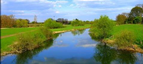 Seltene Vögel lieben Lippeauen in Hamm