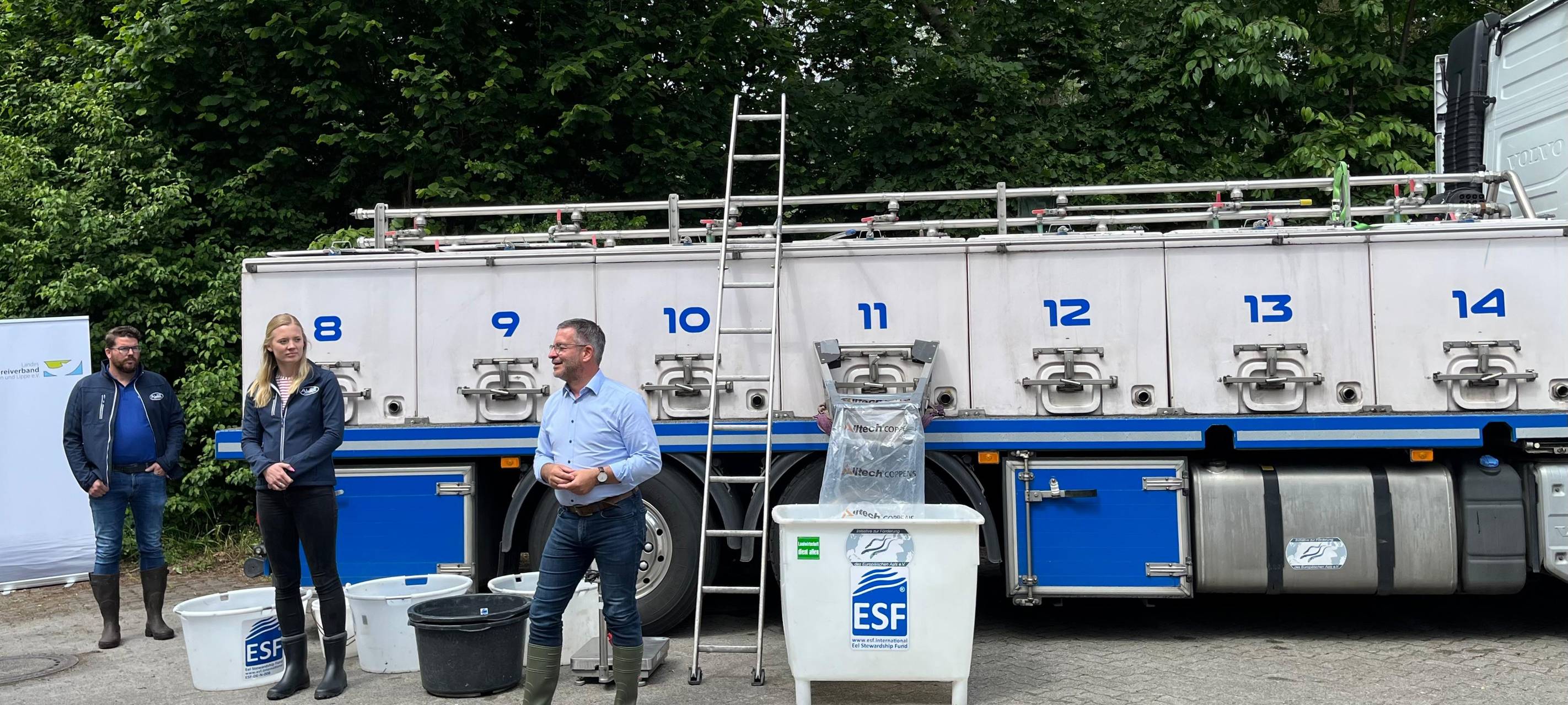 Nachhaltige Aktion: 50.000 Aale für die Lippe in Hamm