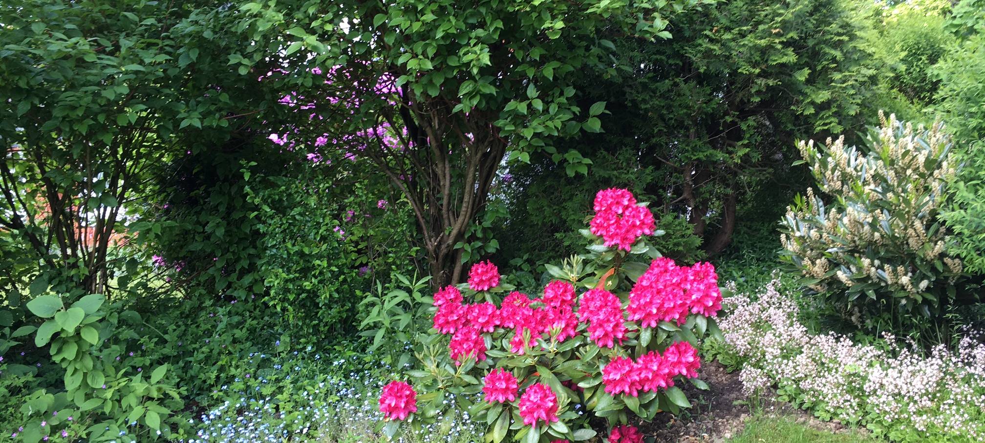 Offene Gartenpforte: Grüne Oasen in Hamm