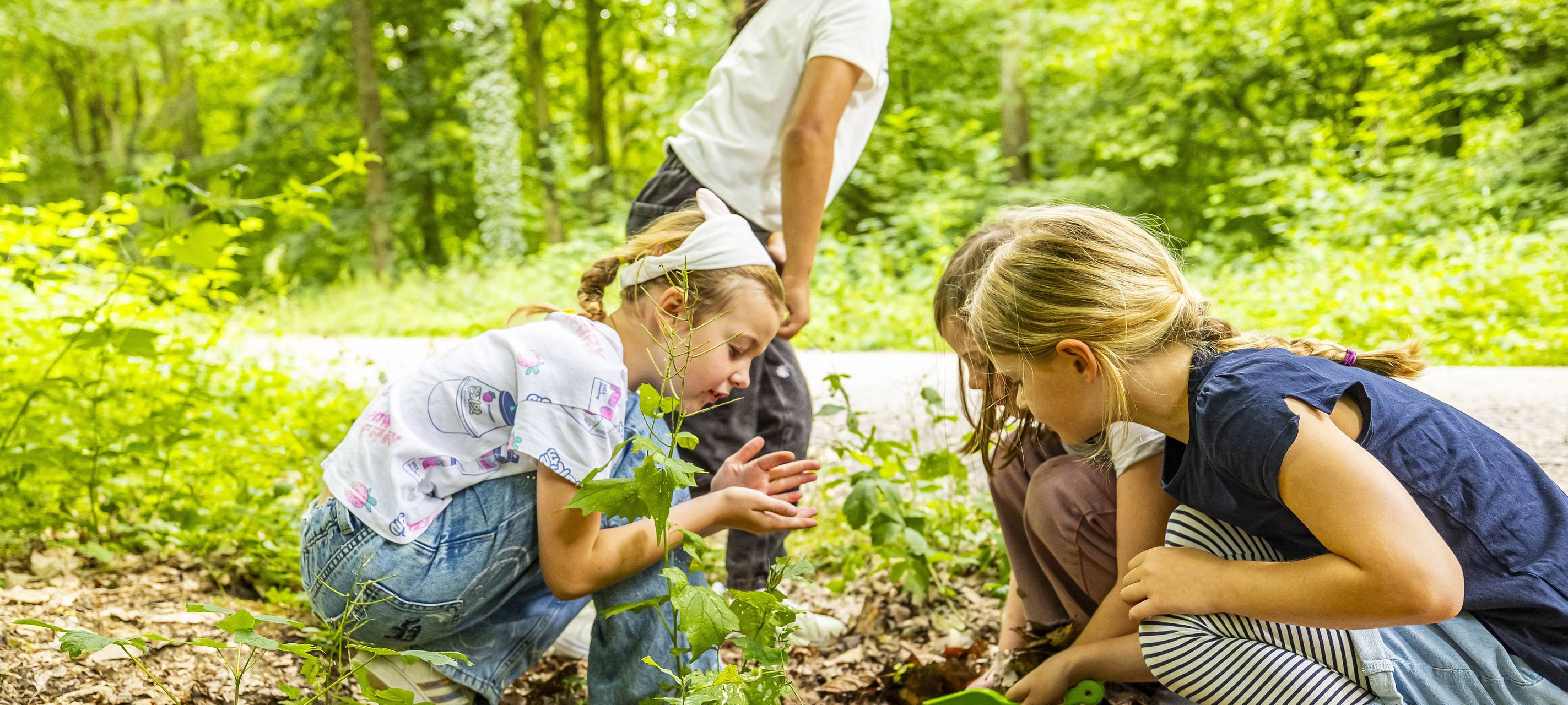 Hamm eröffnet ersten Bodenlehrpfad in NRW