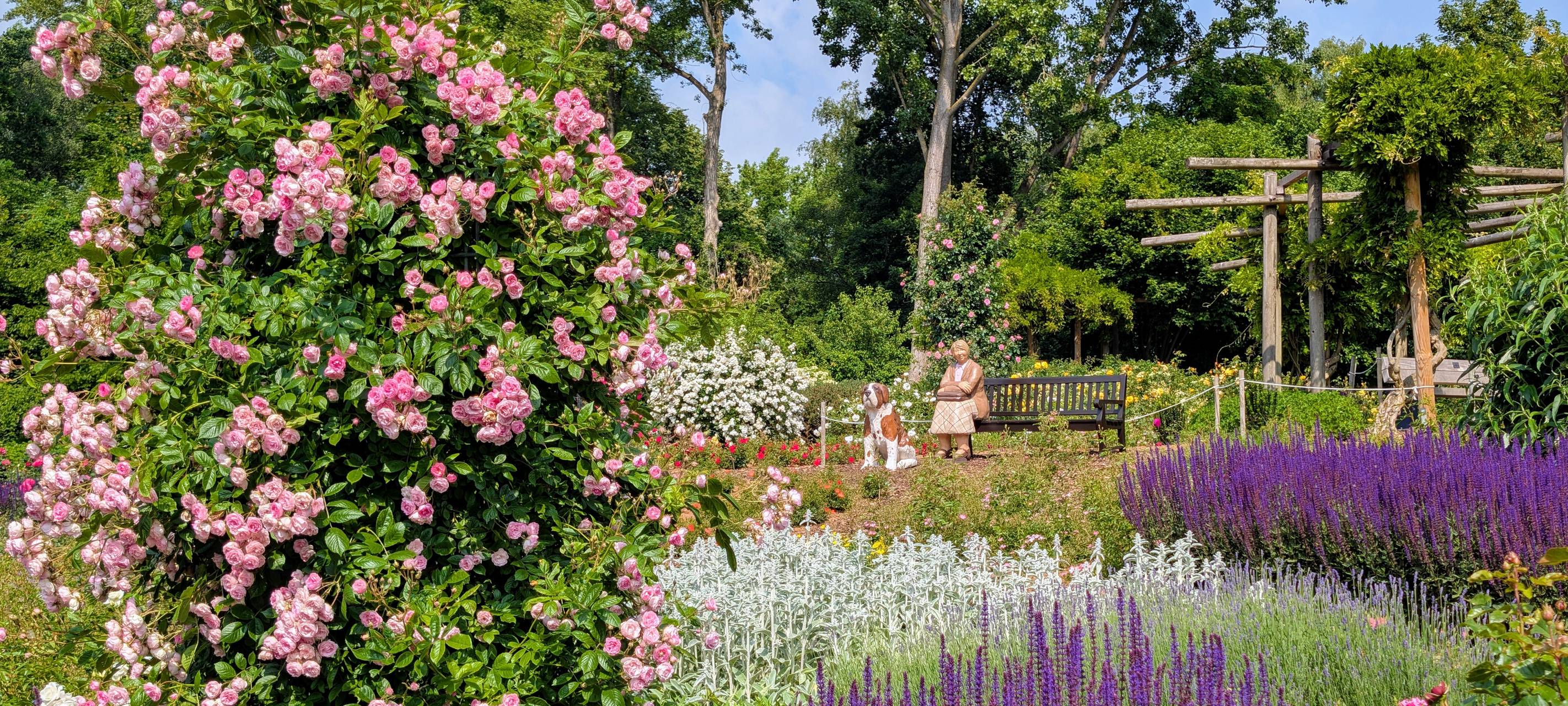 Grüne Oase mitten in Hamm: Der Maxipark lädt zum Spazieren, Staunen und Entspannen ein.