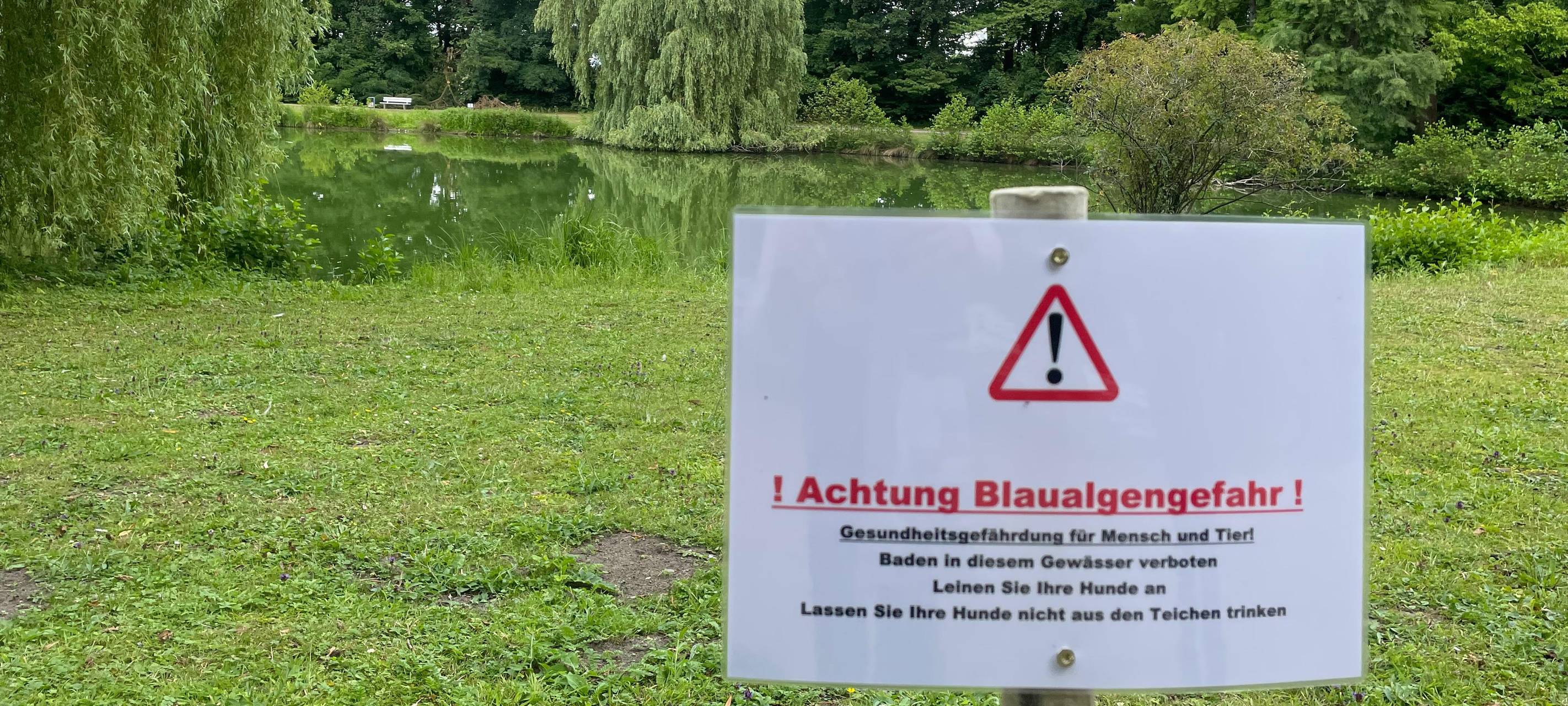 Verdacht auf Blaualgen im Kurparkteich Hamm