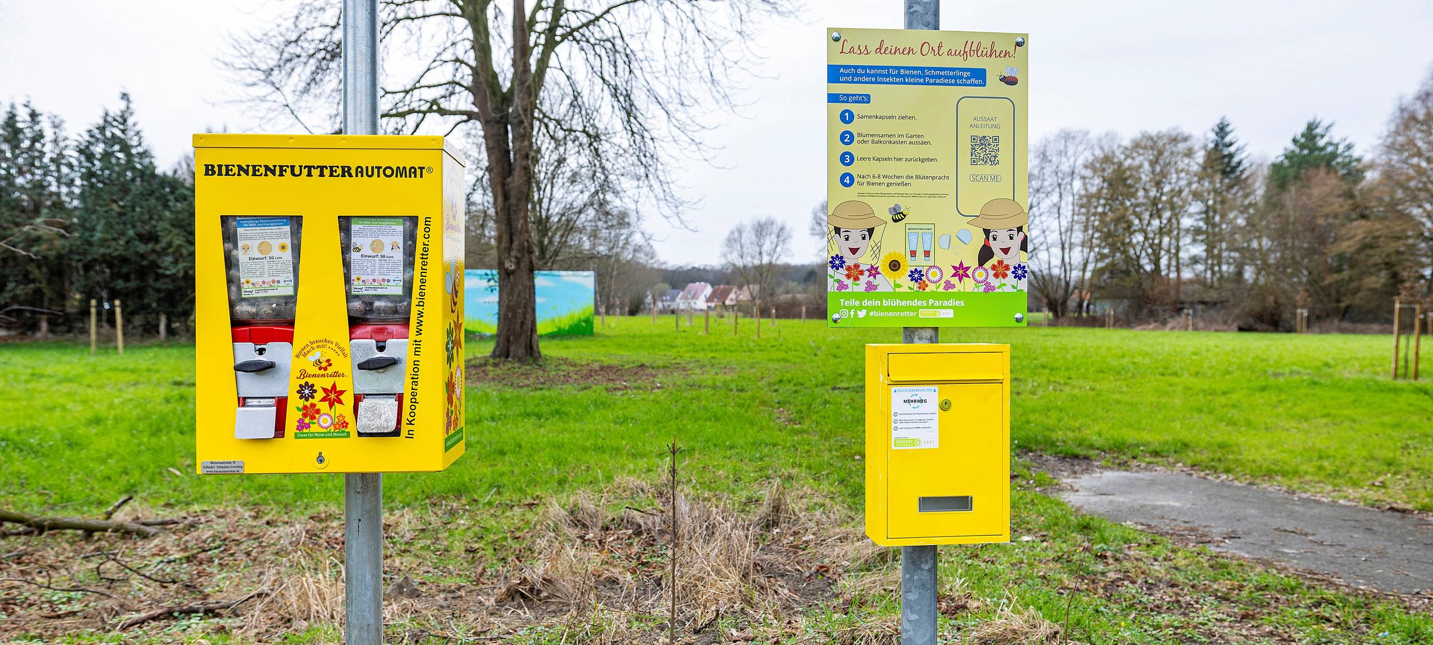 Bienen in Hamm bestohlen