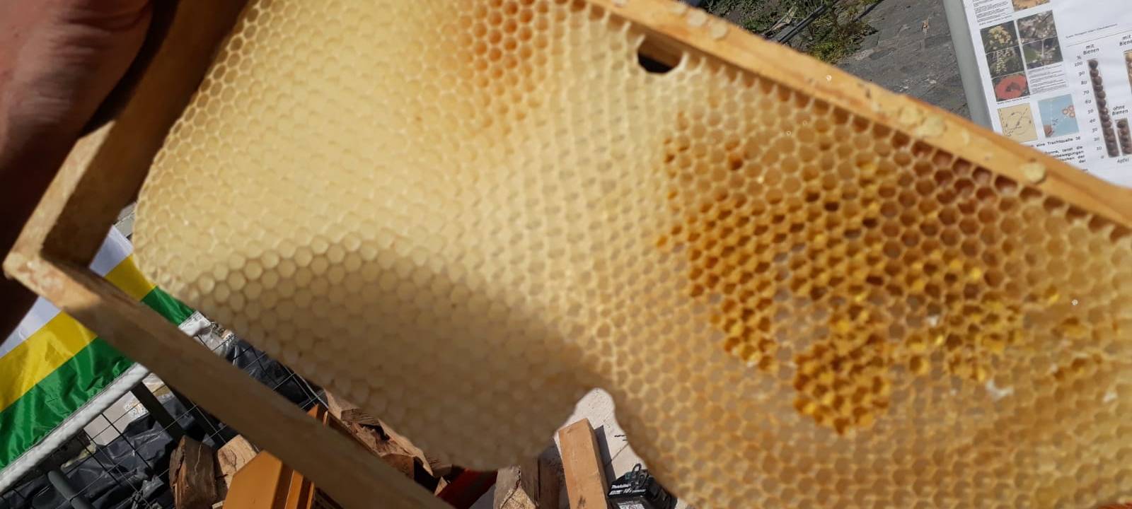 United Hamm 2.0 das Jugendfestival