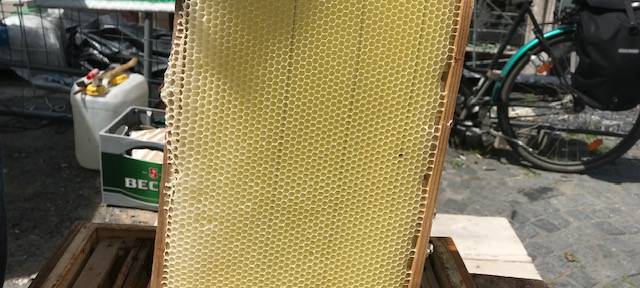 United Hamm 2.0 das Jugendfestival