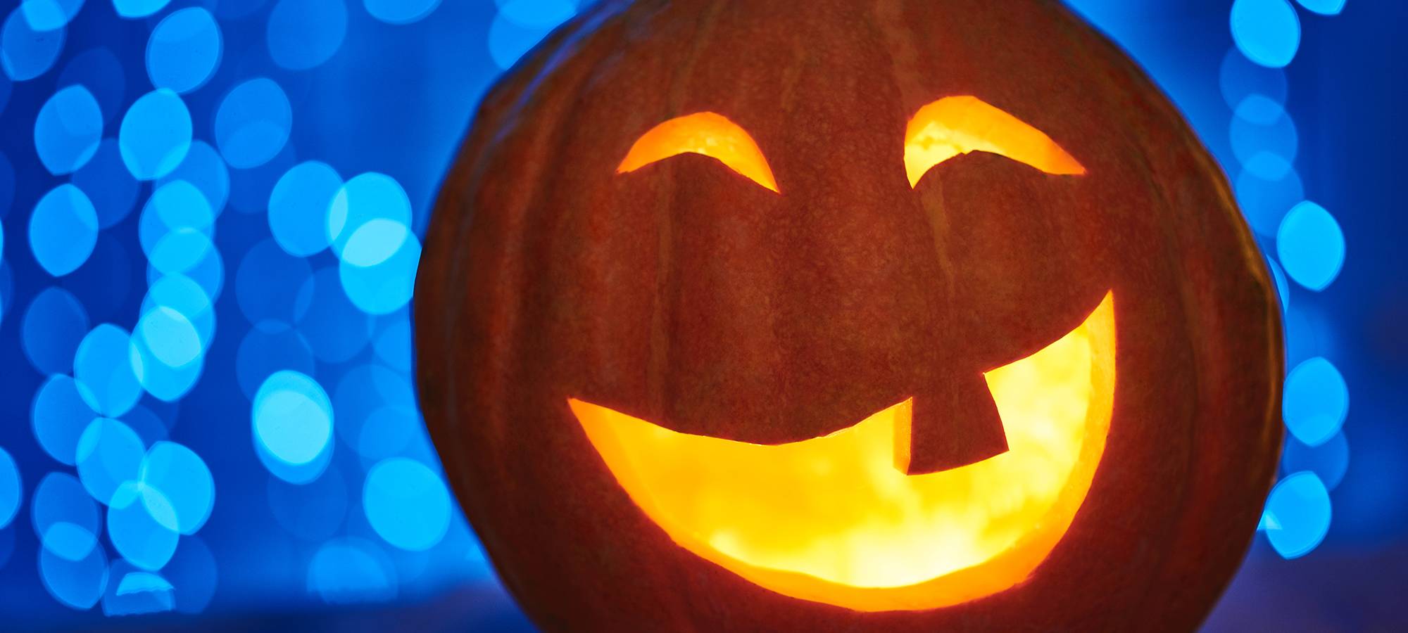 Geschnitzte Kürbisse für Halloween.