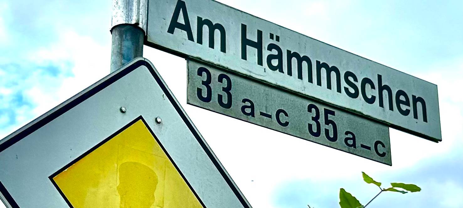 Die Straße Am Hämmschen in Heessen.