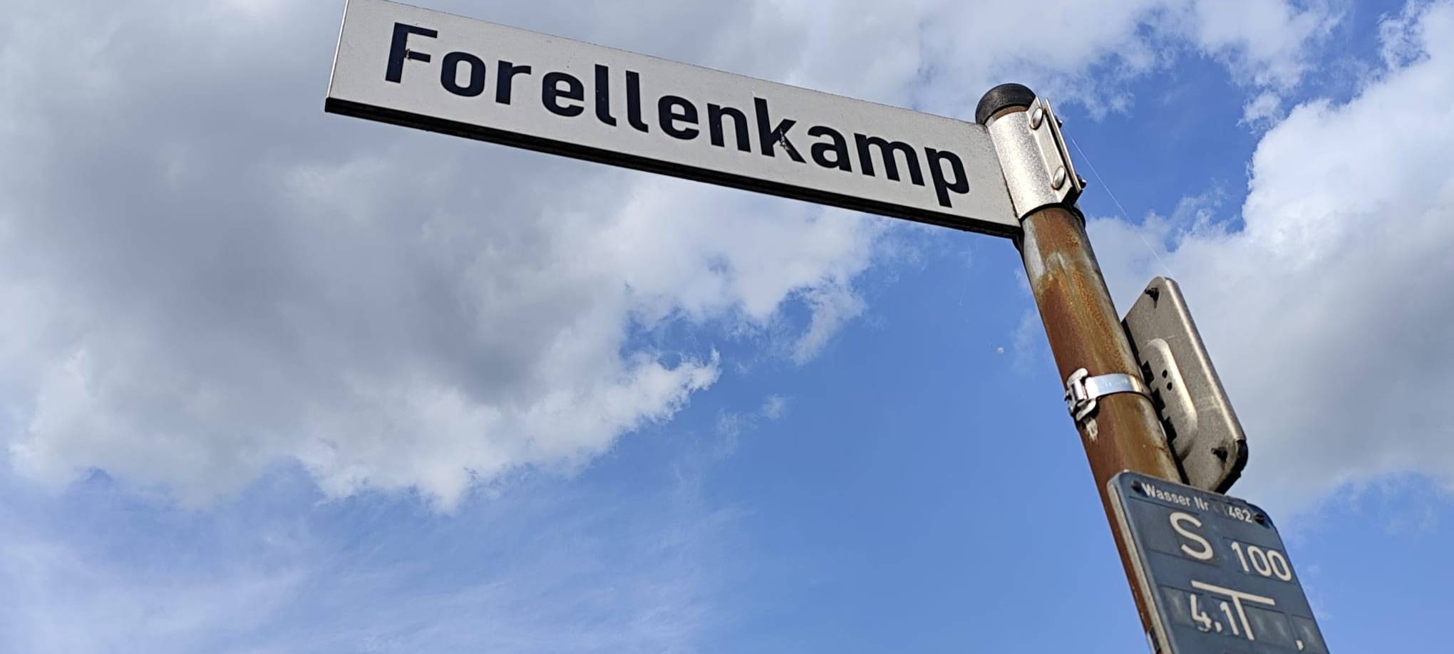 Der Forellenkamp im Hammer Süden.