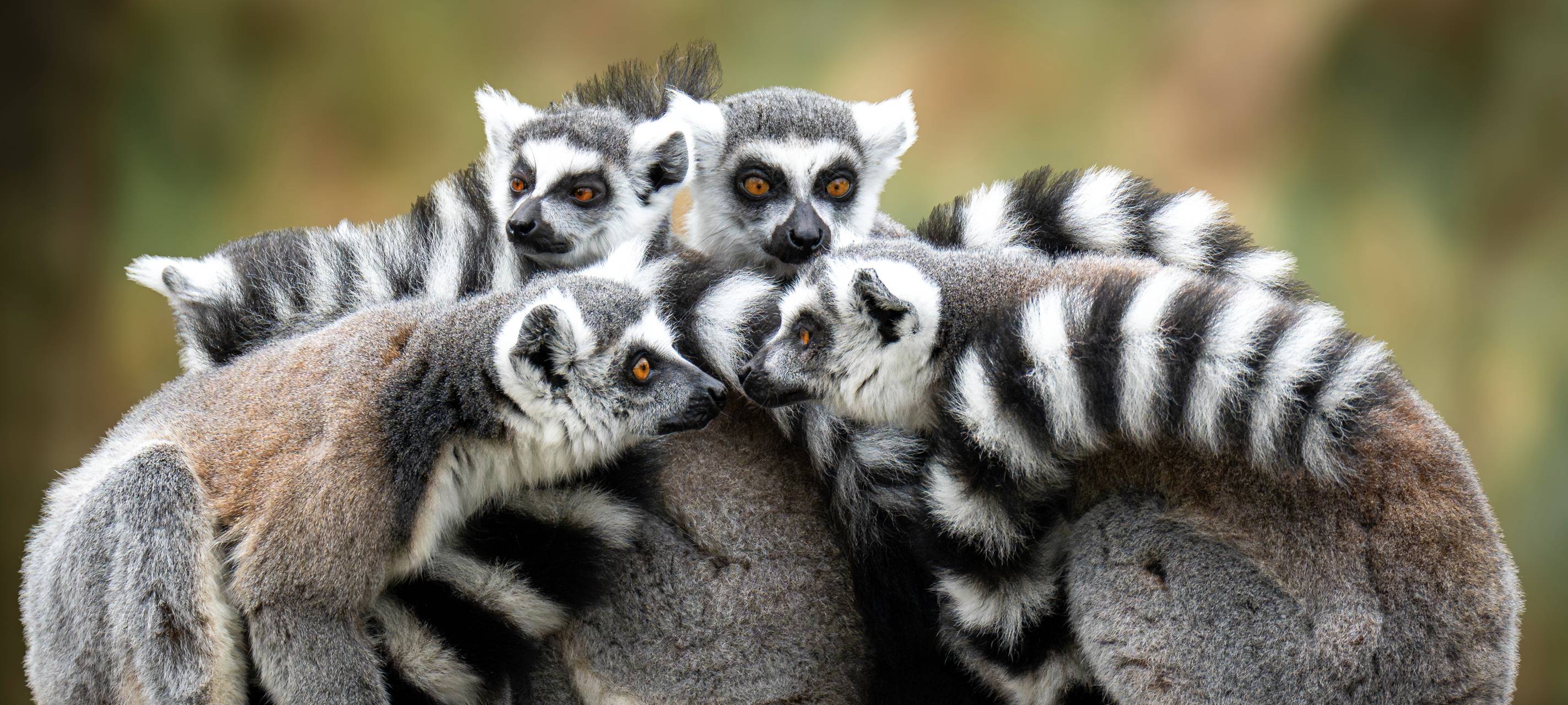 Weitere Demonstration am Tierpark Hamm