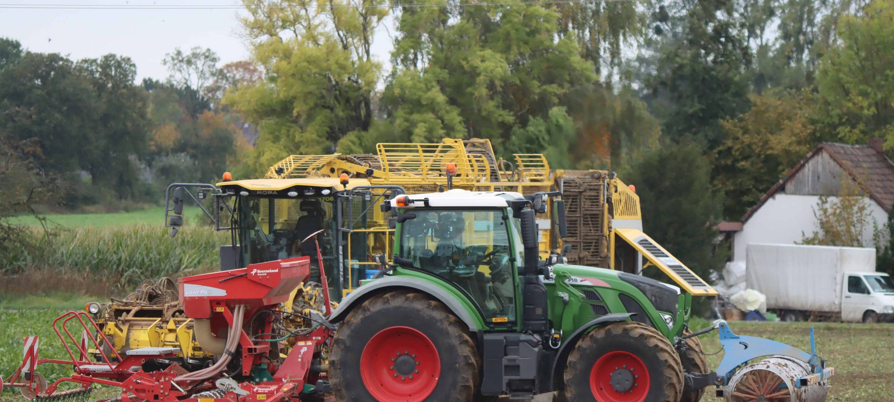 Herbsternte: Preisverfall bei Pommeskartoffeln