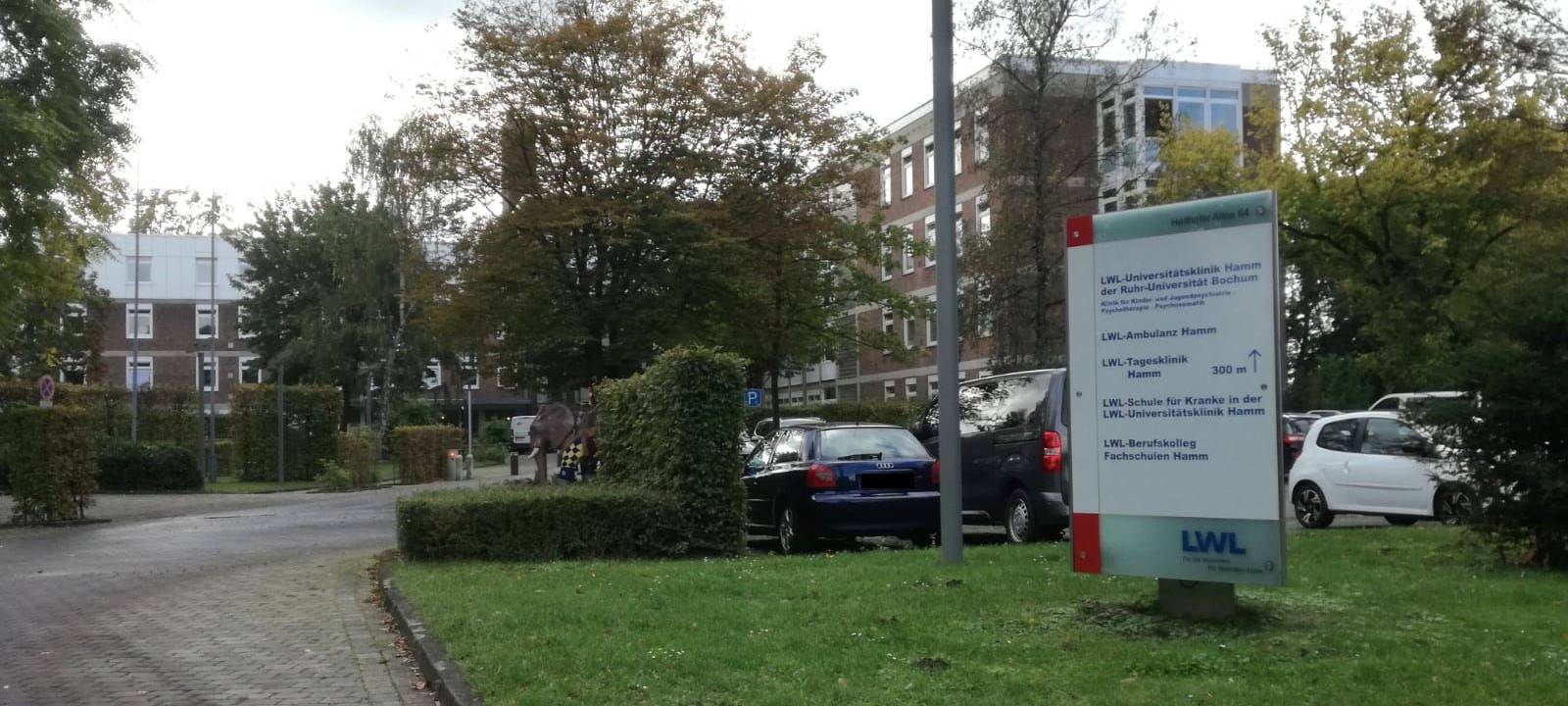 Hamm: LWL-Klinik verzeichnet Rekord bei Aufnahmen