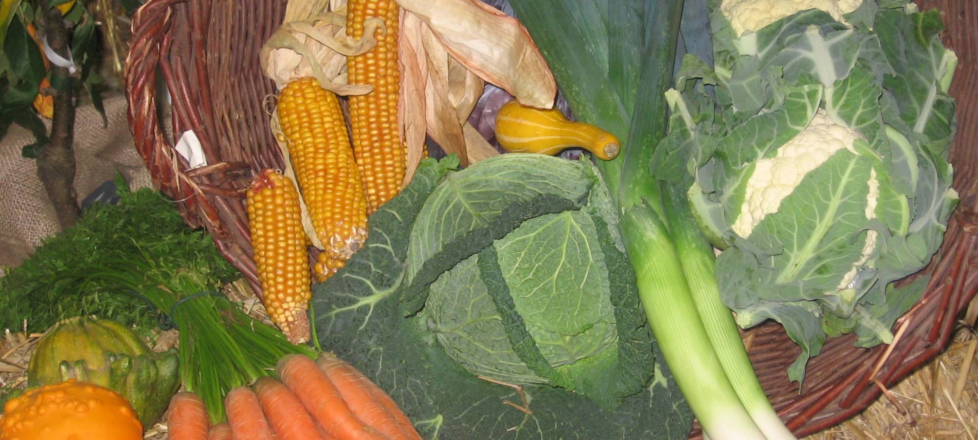 Erntedankfest in Hamm