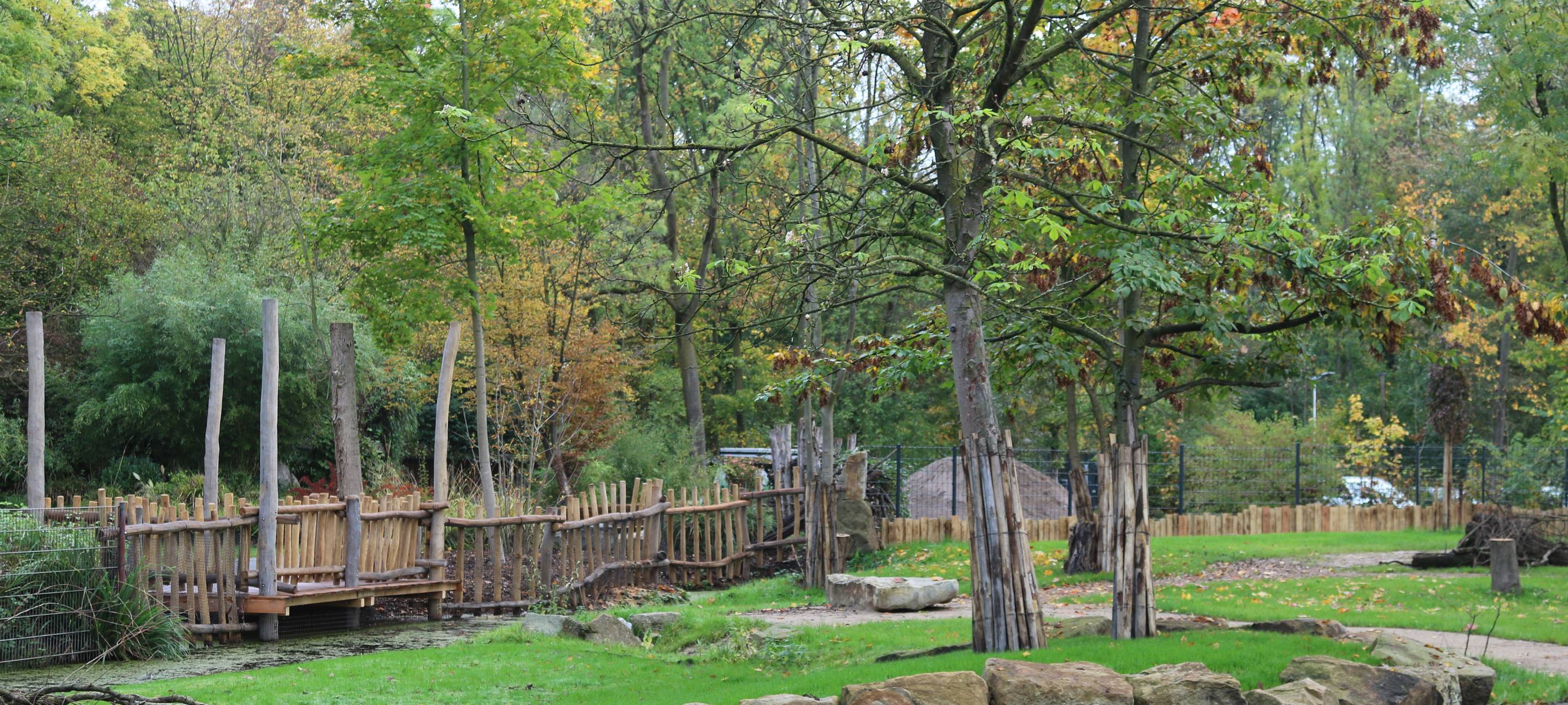 Neues Gehege im Tierpark Hamm