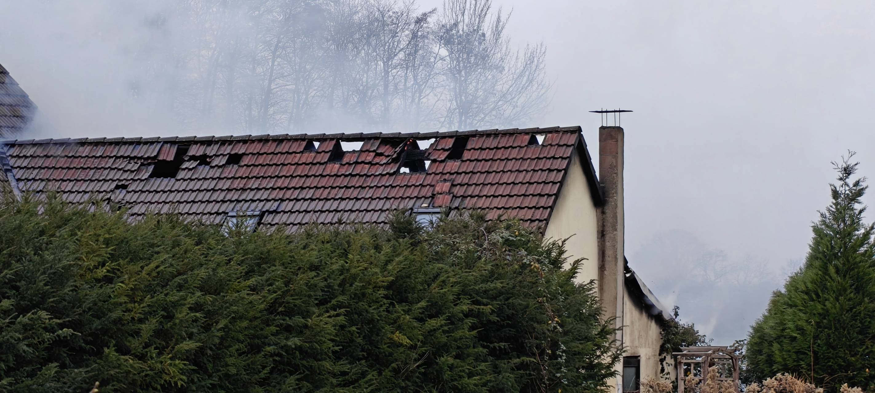 Hamm: Polizei ermittelt zur Cannabis-Plantage