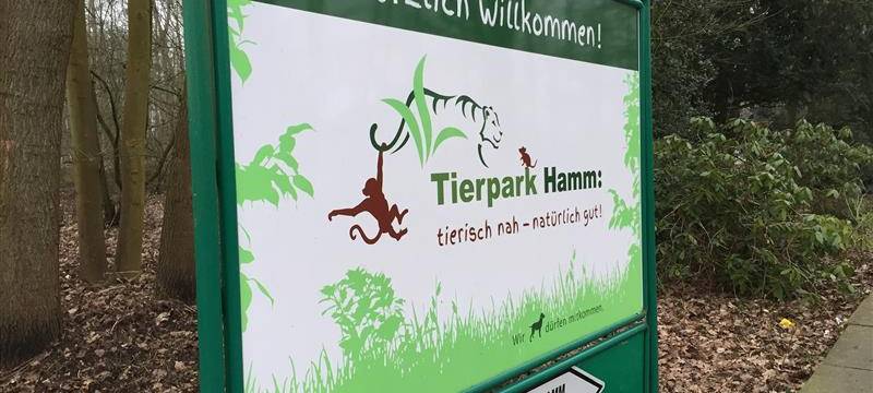 Tierpark Hamm plant überraschende Afrika-Neuheiten