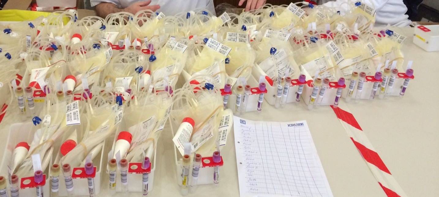 Blutspende Hamm: DRK sucht Spender zu Jahresbeginn