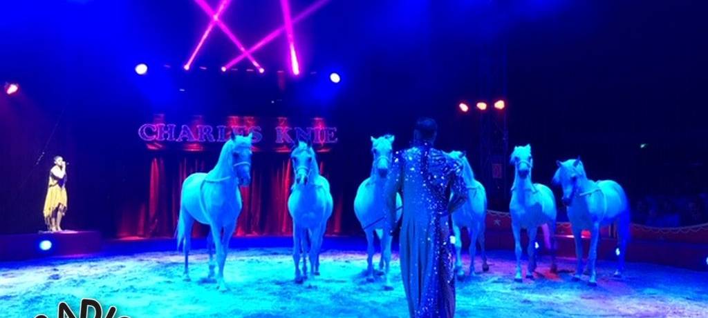 Charles Knie zu Gast in Hamm