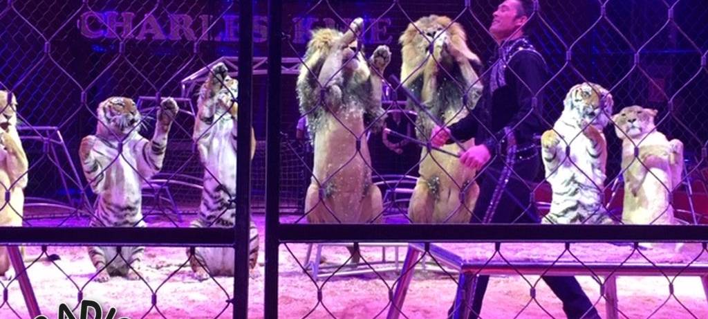 Charles Knie zu Gast in Hamm