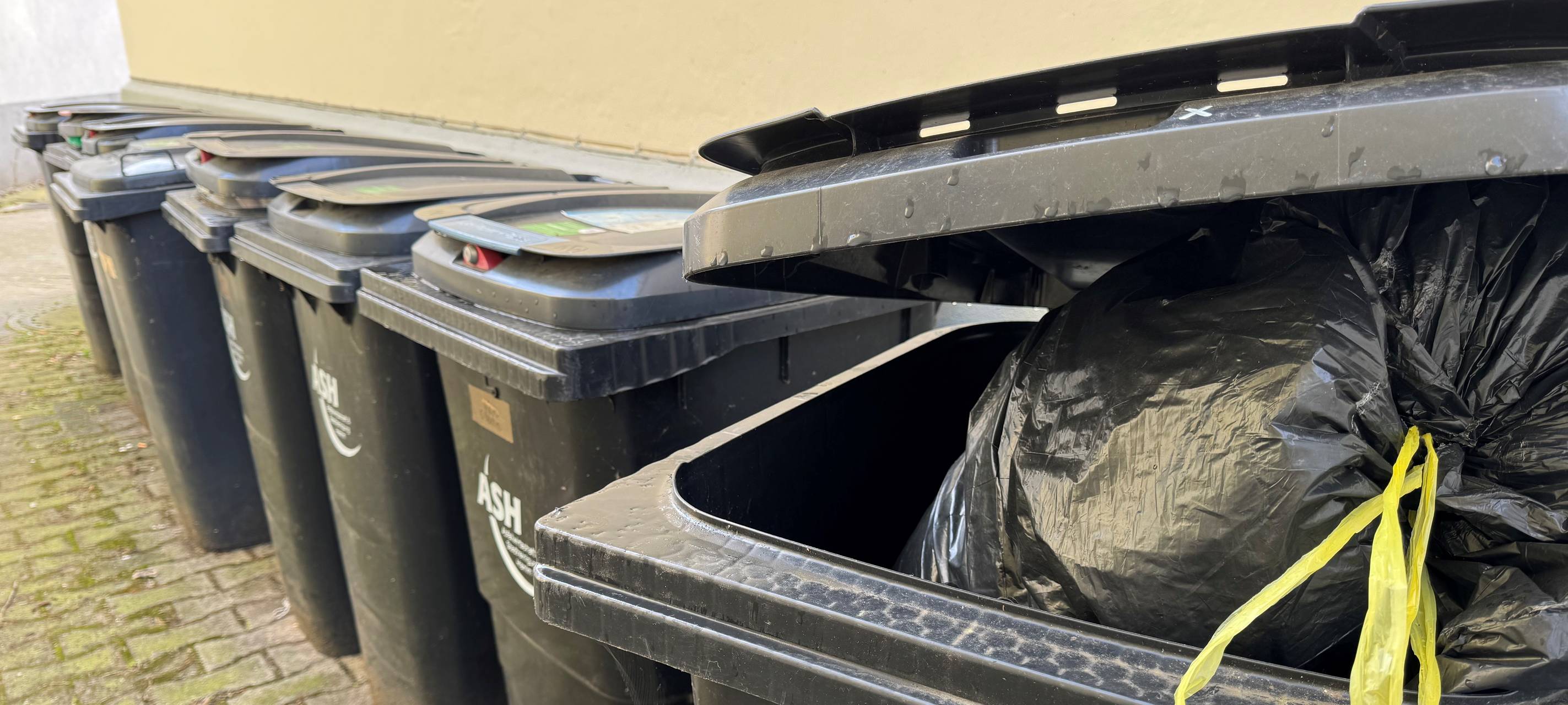 ASH Hamm: Neue Mülltouren zeigen erste Probleme