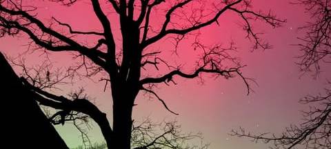 Magisches Himmelsspektakel: Polarlichter über Hamm