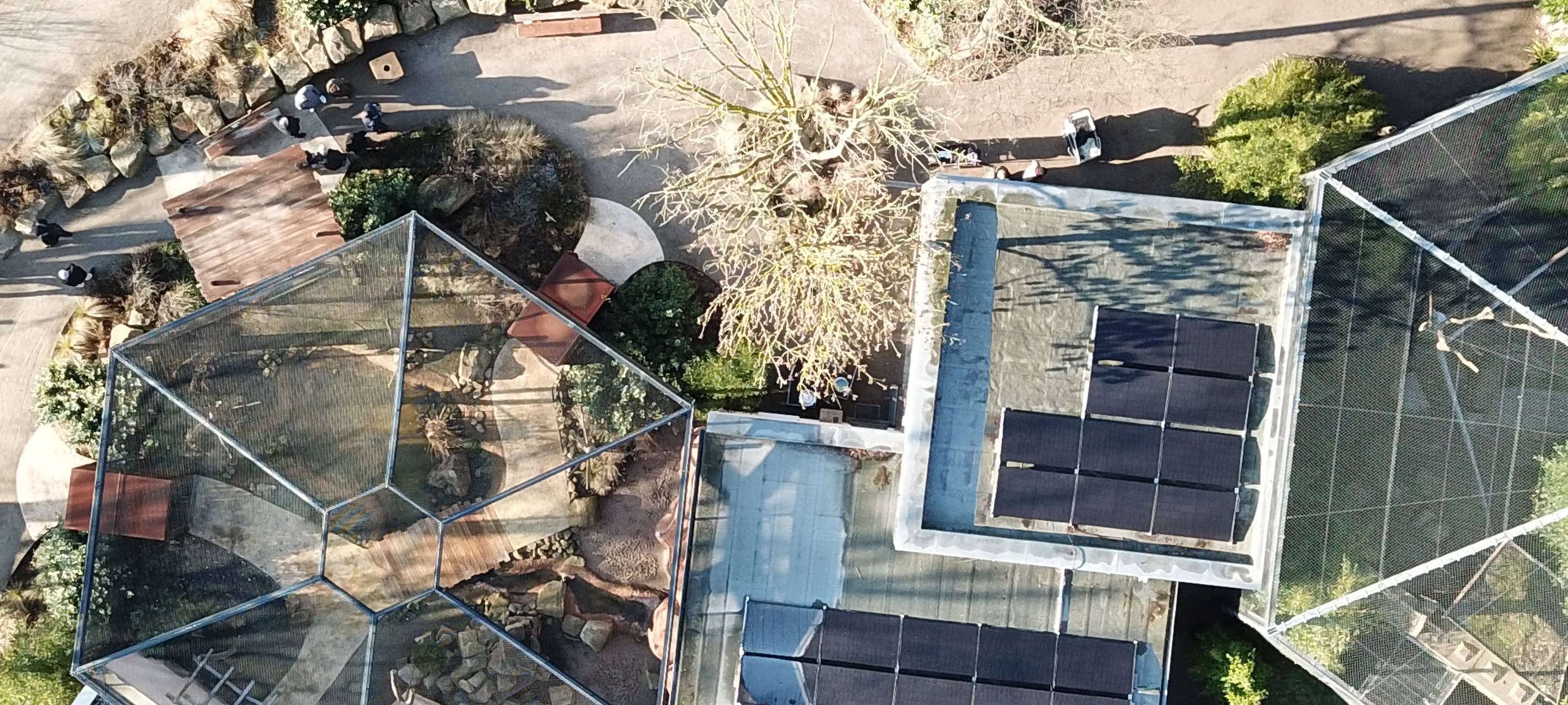 Hamm wird grüner: Erfolge und Pläne der Stadt