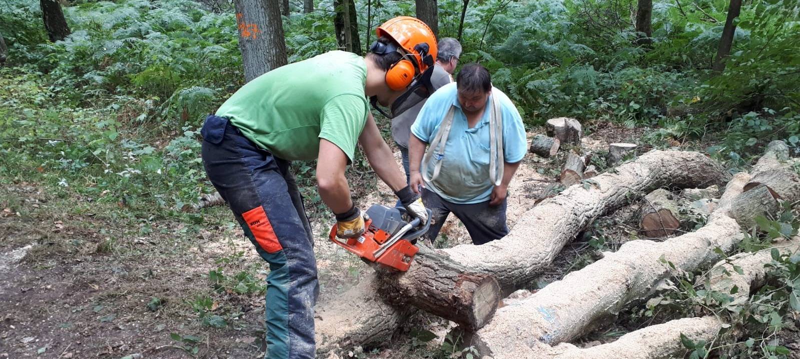 Dr.-Loeb-Caldenhof-Straße in Hamm wird zum Engpass