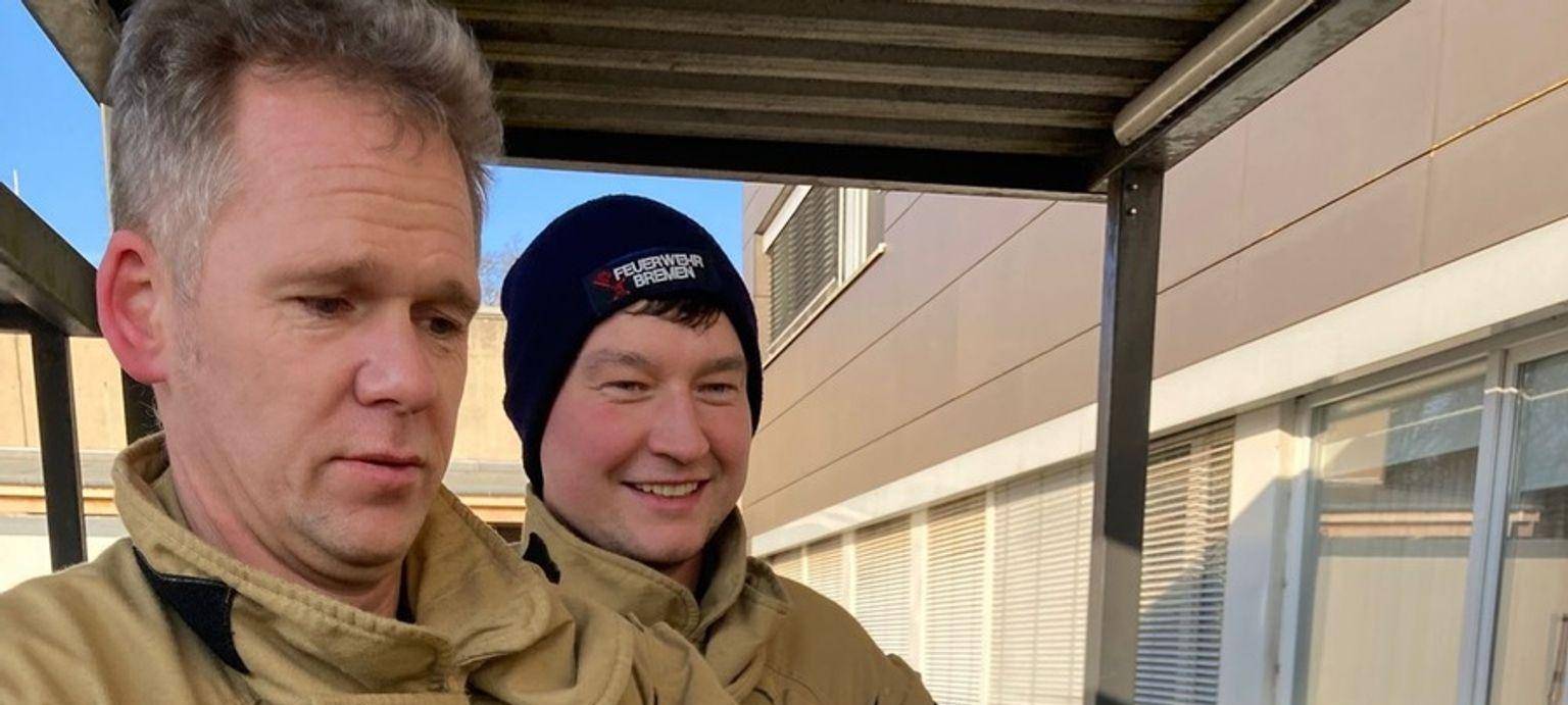 Verletzter Kormoran pickt gegen Tür von Notaufnahme