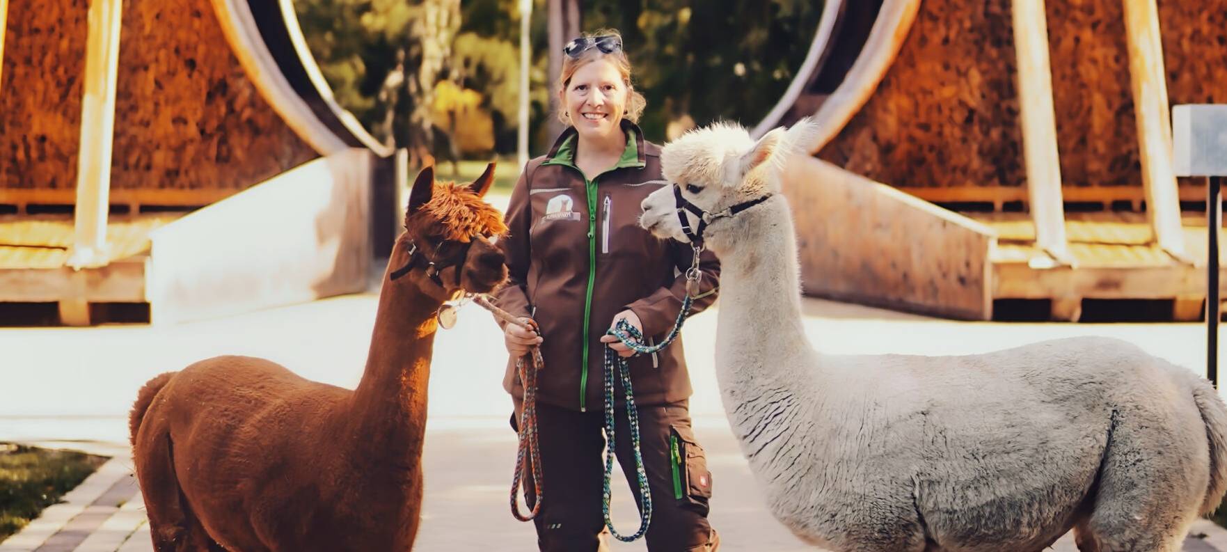 Alpakas & Kettensägen: Das bietet der Frühlingsmarkt im Maxipark in Hamm
