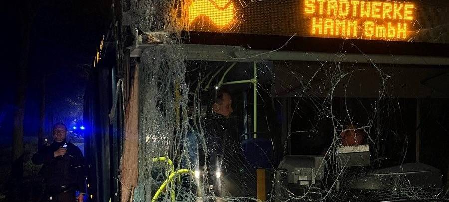 Linienbus kracht in Hamm gegen Baum - Fahrer unverletzt