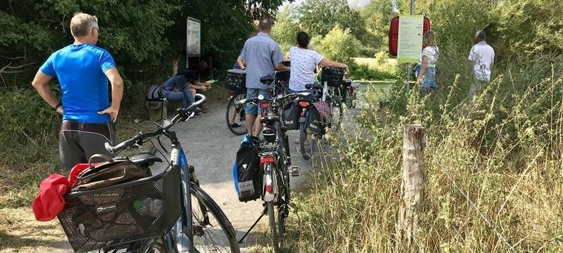 Millionen-Förderung für Radwege in Hamm