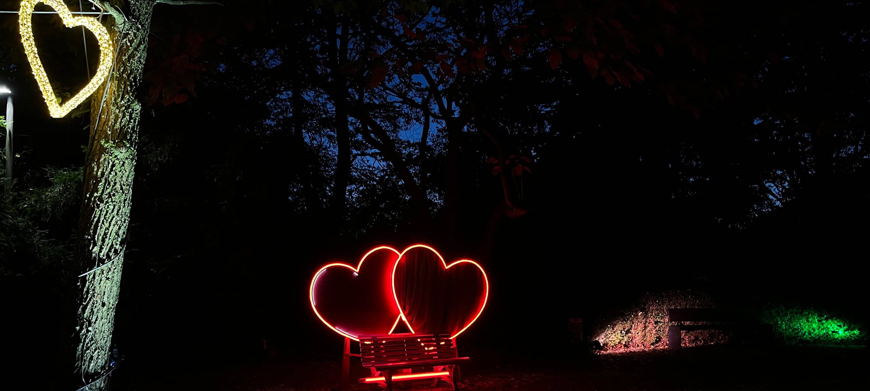Hamm: Herbstleuchten taucht Maxipark in magisches Licht
