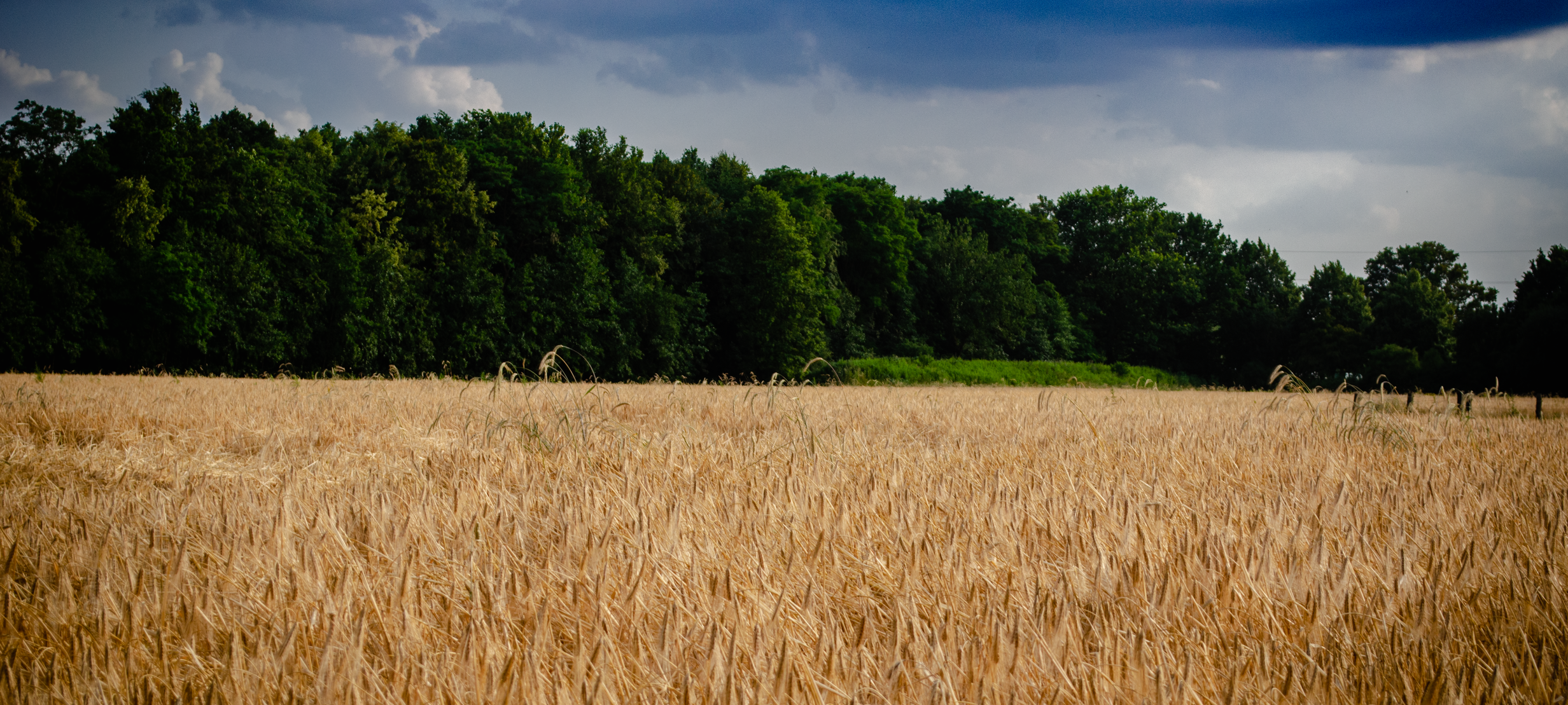 #soschönisthamm im Jahr 2023 - die schönsten Fotos