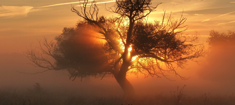 Der neue Lippewelle Zuhausekalender für Hamm ist da!