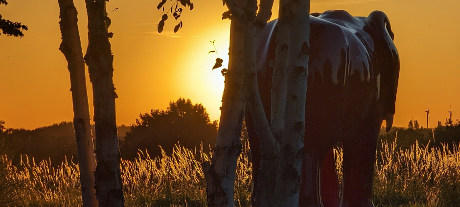 So schön ist Hamm - die besten Fotos aus unserer Stadt in 2022!