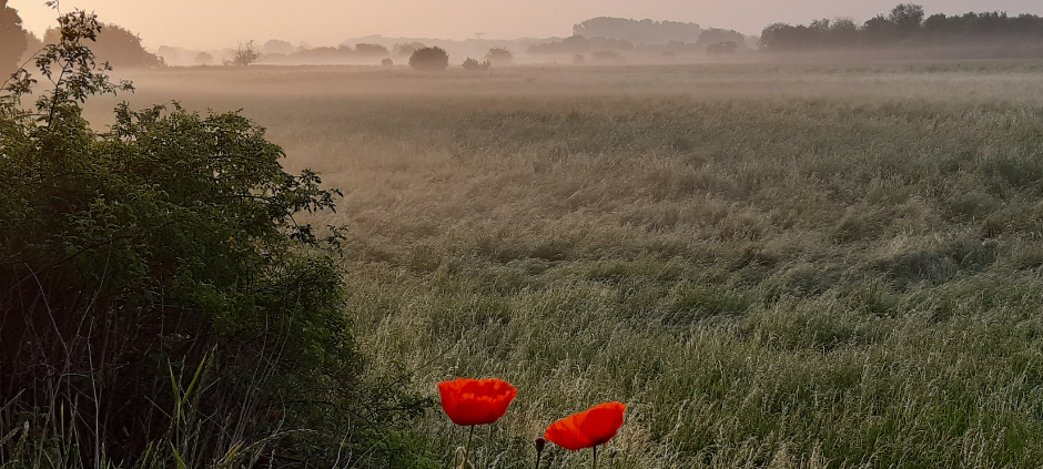 Der neue Lippewelle Zuhausekalender für Hamm ist da!