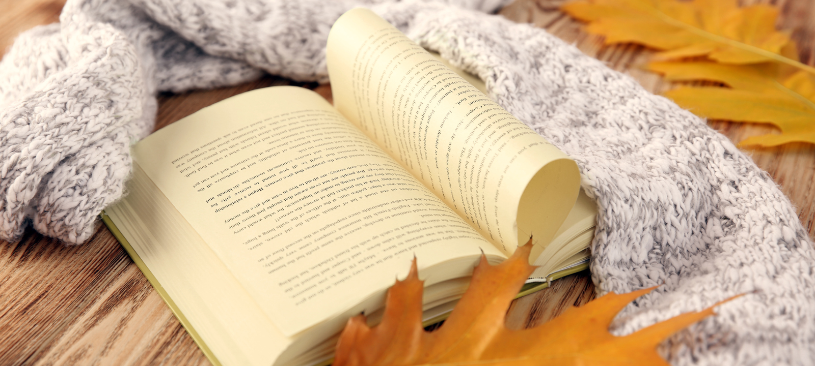 26. Literarischer Herbst in Hamm