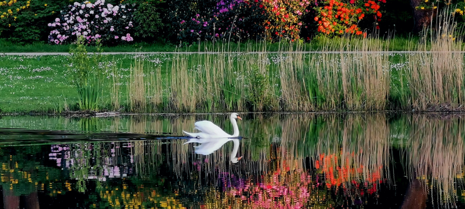 Der neue Lippewelle Zuhausekalender für Hamm ist da!