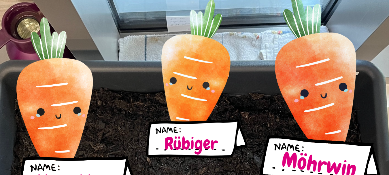 Unsere Lippewelle-Möhrchen bekommen ein neues Zuhause