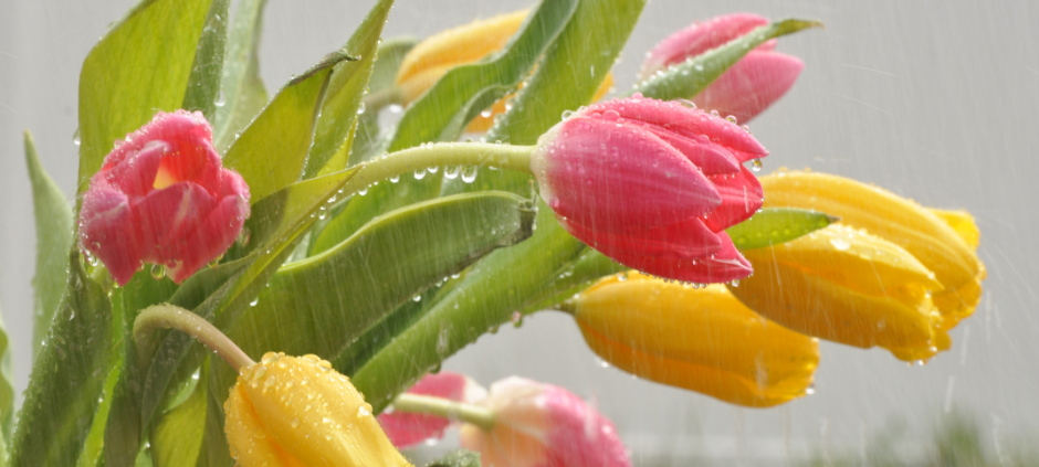 In Hamm ist der Winter zurück