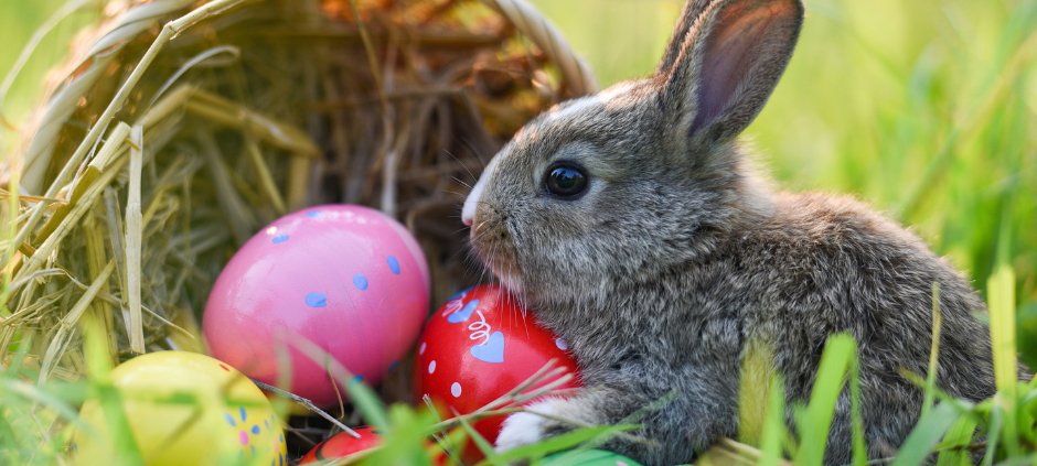 Osterhase mit Eierkorb