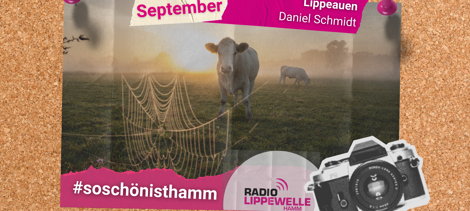 #soschönisthamm: Die Gewinner aus Hamm im September