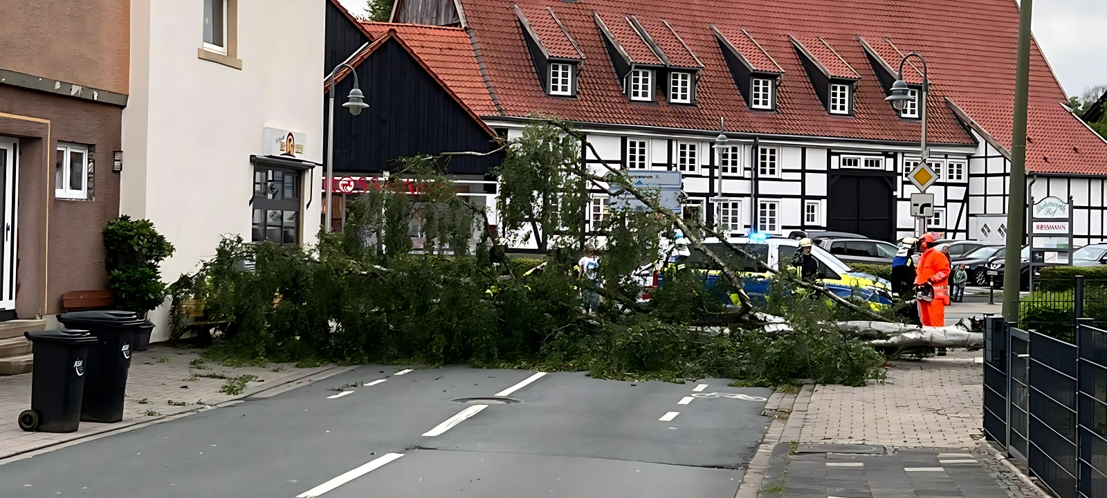 Eine Birke versperrte am Dienstagmorgen vielen Pendlern den Arbeitsweg.